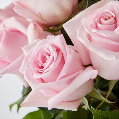 Picture Perfect Pink Rose Bouquet – XOXO FLORALS & WINE, Newark OH