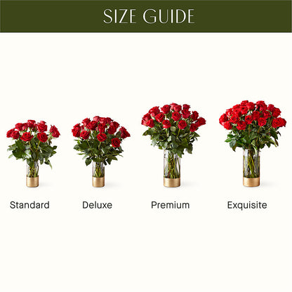 Classic Love Red Rose Bouquet – XOXO FLORALS & WINE, Newark OH
