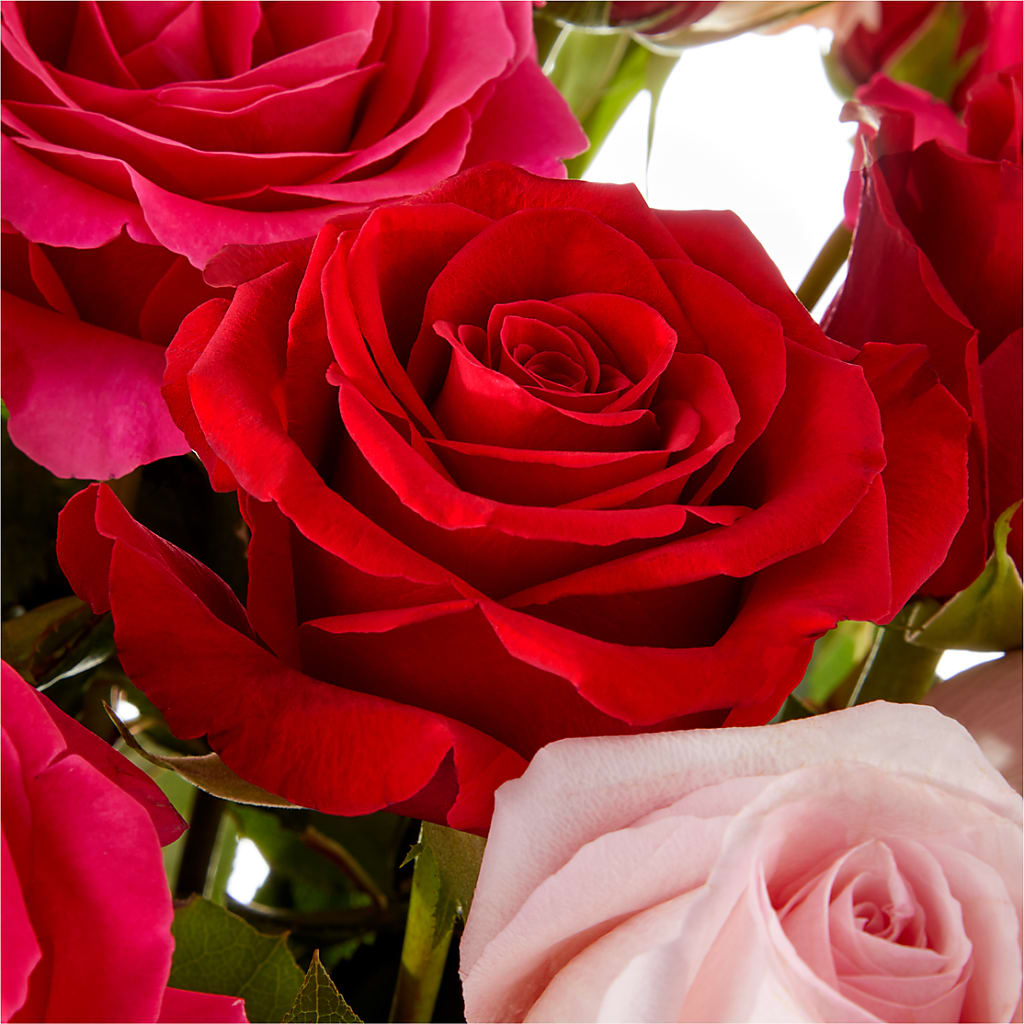 Love Notes Rose Bouquet – XOXO FLORALS & WINE, Newark OH