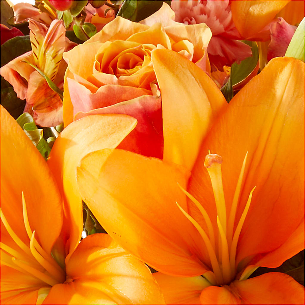 Afternoon Light Bouquet – XOXO FLORALS & WINE, Newark OH