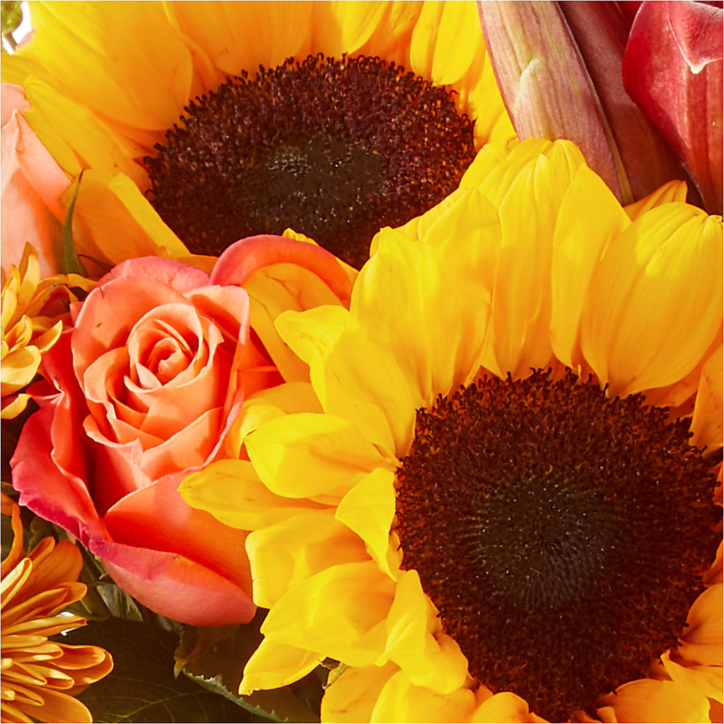 Acorn Lane Bouquet – XOXO FLORALS & WINE, Newark OH