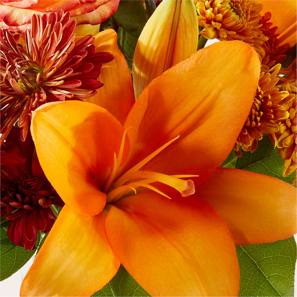 Autumnal Aroma Bouquet – XOXO FLORALS & WINE, Newark OH