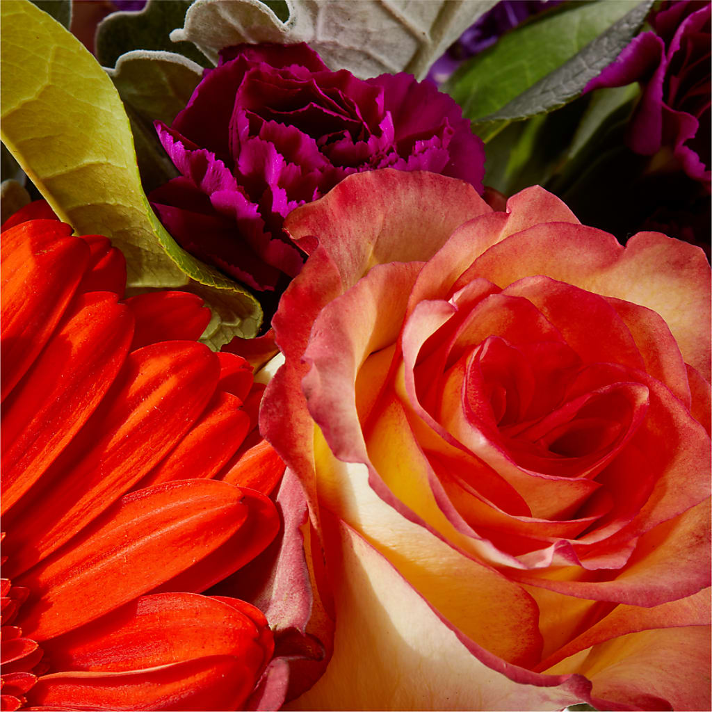 Sangria Bouquet – XOXO FLORALS & WINE, Newark OH