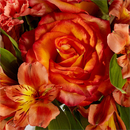 Apricot Glow Bouquet – XOXO FLORALS & WINE, Newark OH