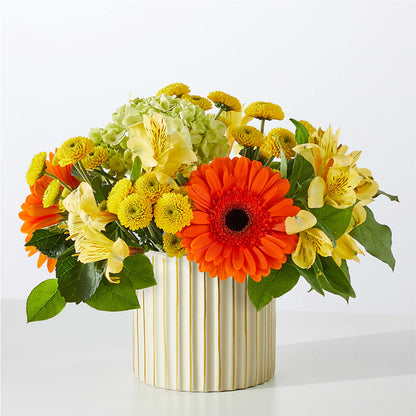Autumn Sunshine Bouquet with Ivory Vase – XOXO FLORALS & WINE, Newark OH