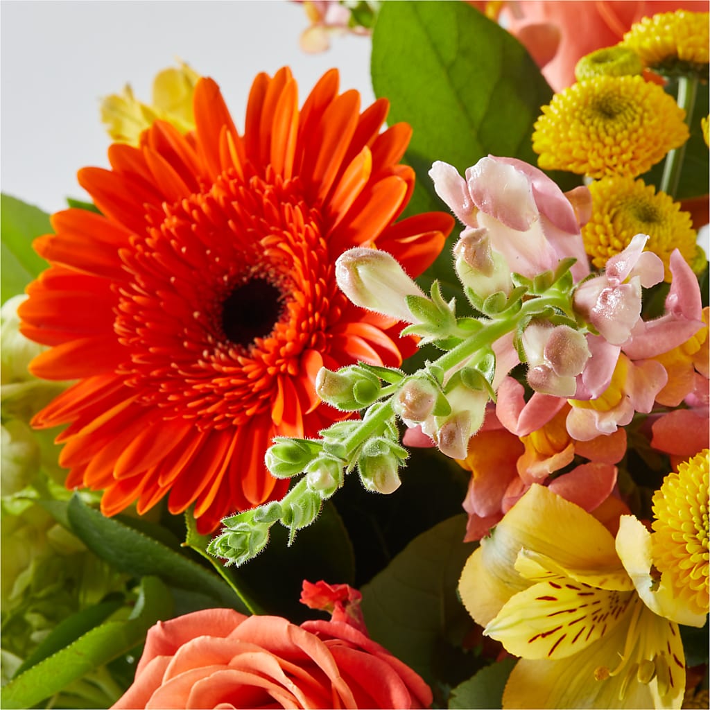 Autumn Sunshine Bouquet – XOXO FLORALS & WINE, Newark OH