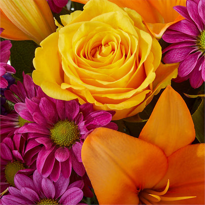 Colorful Visions Bouquet – XOXO FLORALS & WINE, Newark OH