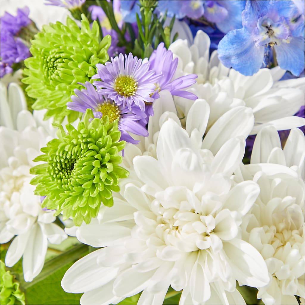 Genuine Gestures Bouquet – XOXO FLORALS & WINE, Newark OH