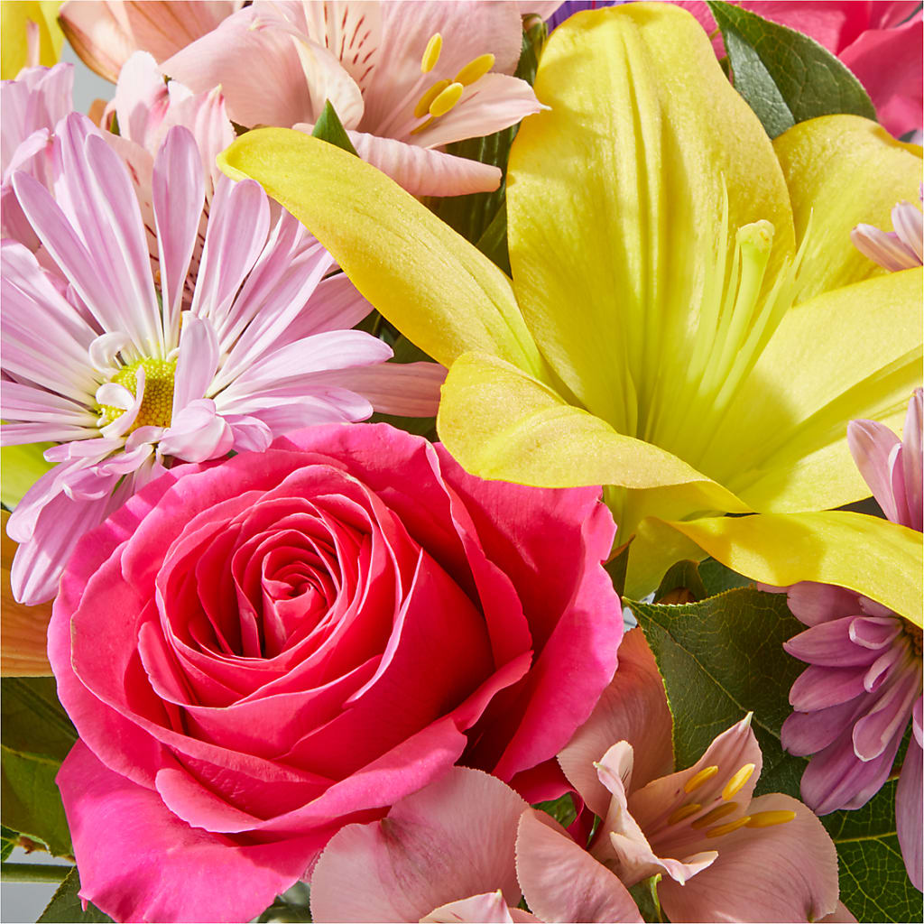 Sprinkles Bouquet – XOXO FLORALS & WINE, Newark OH