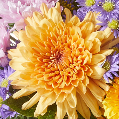 Countryside Bouquet – XOXO FLORALS & WINE, Newark OH