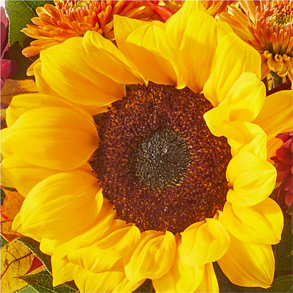 Sunny Side Bouquet – XOXO FLORALS & WINE, Newark OH