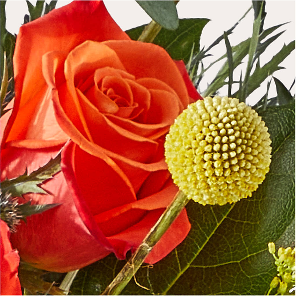 Disco Bouquet – XOXO FLORALS & WINE, Newark OH
