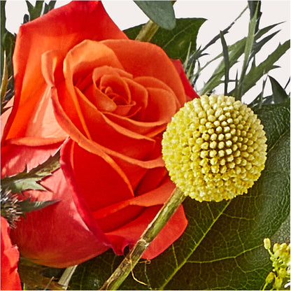 Disco Bouquet – XOXO FLORALS & WINE, Newark OH