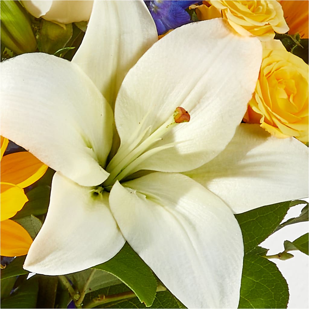 Wonderfully Sunny Bouquet – XOXO FLORALS & WINE, Newark OH