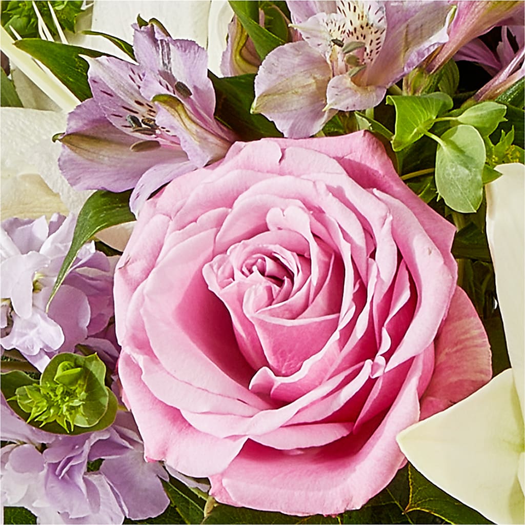 Daydreamer Bouquet – XOXO FLORALS & WINE, Newark OH