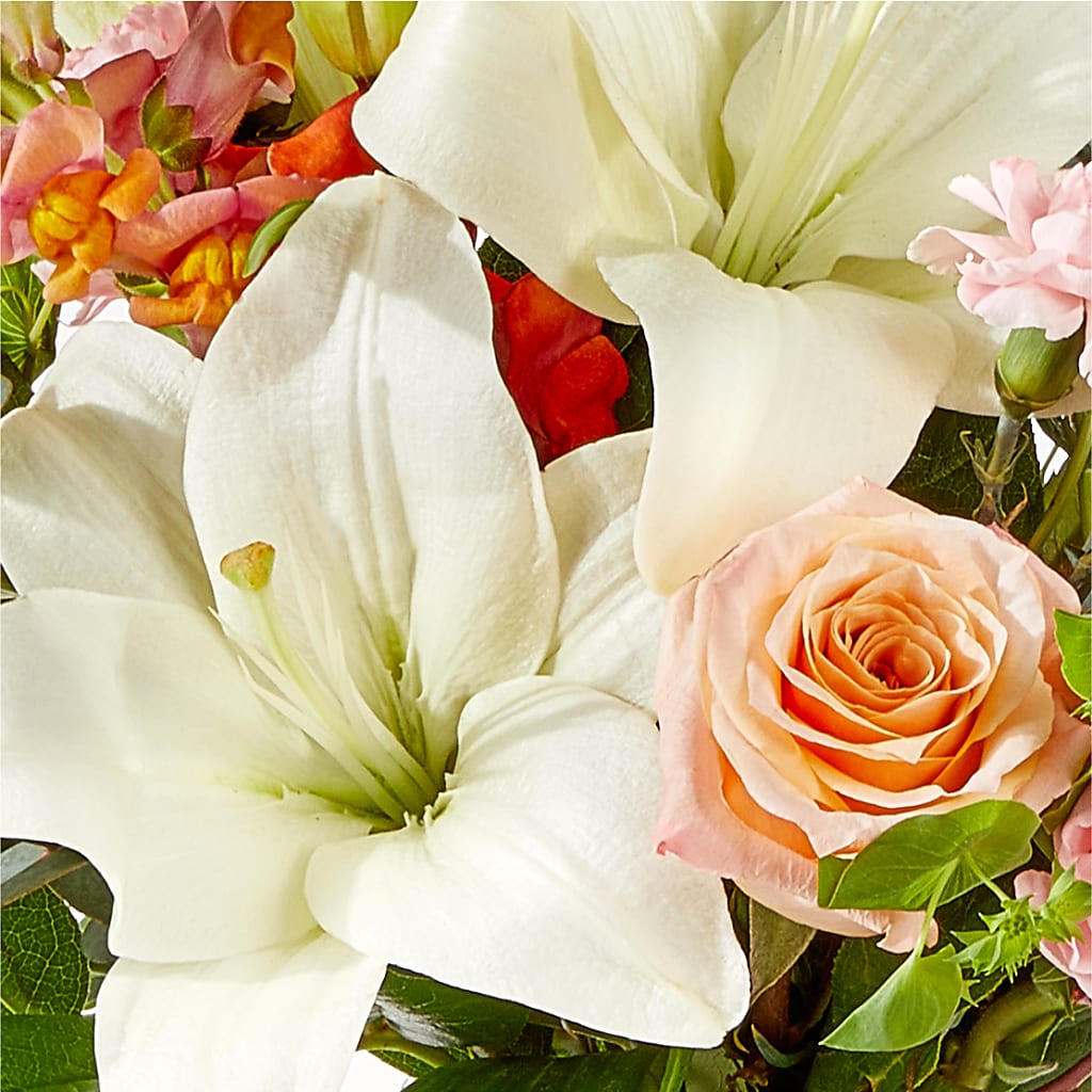 Grapefruit Splash Bouquet – XOXO FLORALS & WINE, Newark OH