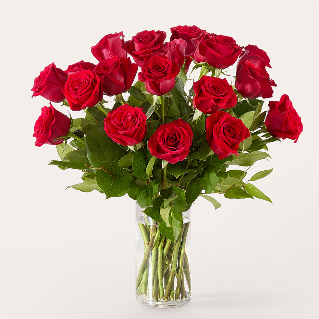 The One Red Rose Bouquet – XOXO FLORALS & WINE, Newark OH