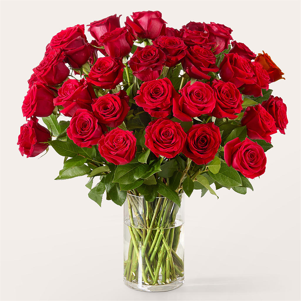 The One Red Rose Bouquet – XOXO FLORALS & WINE, Newark OH