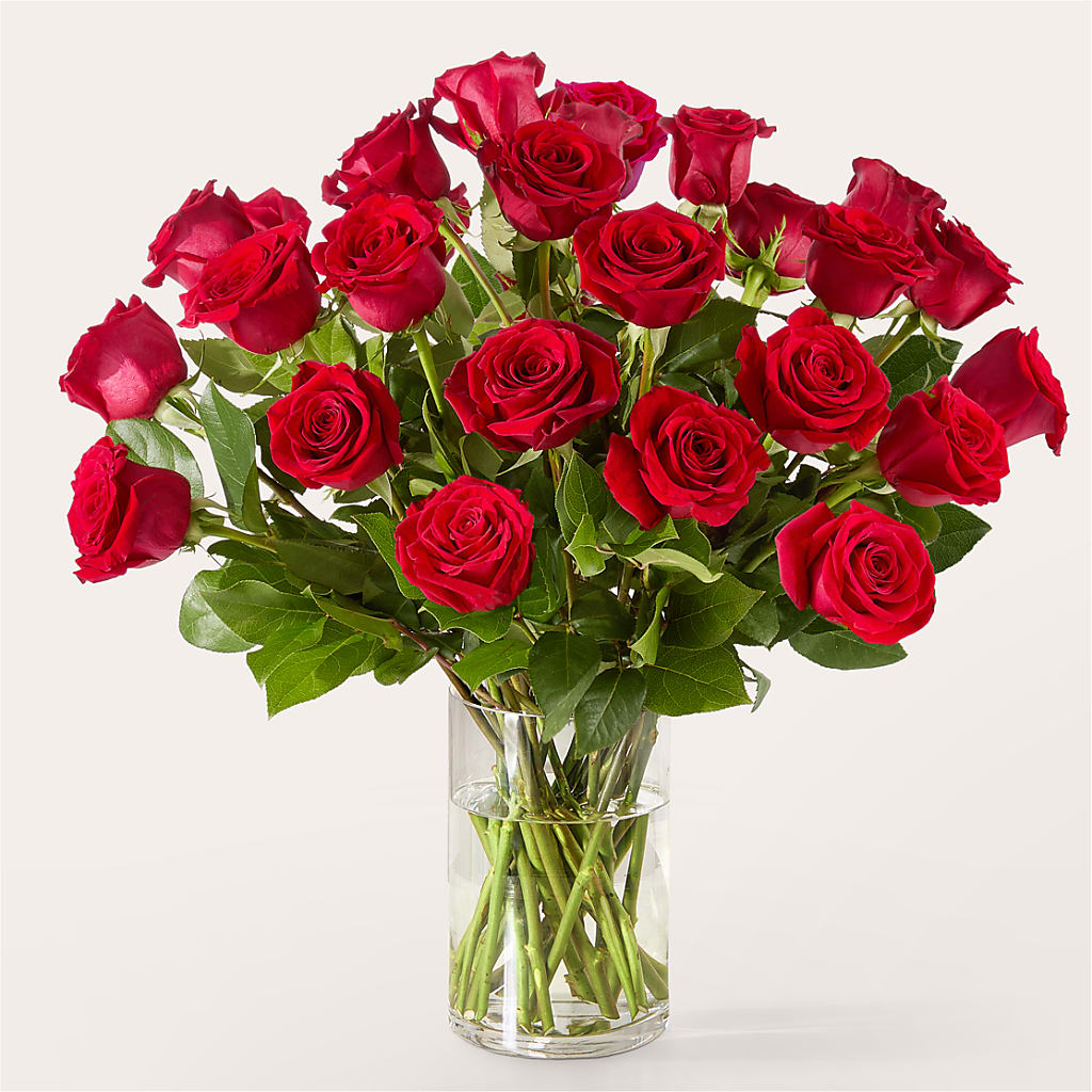 The One Red Rose Bouquet – XOXO FLORALS & WINE, Newark OH