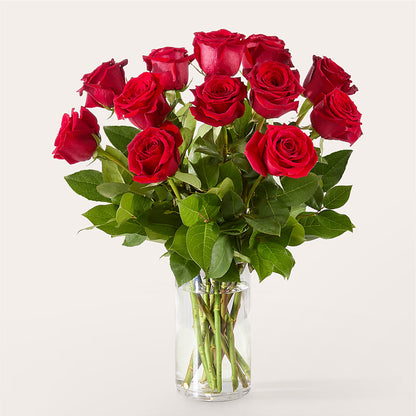 The One Red Rose Bouquet – XOXO FLORALS & WINE, Newark OH