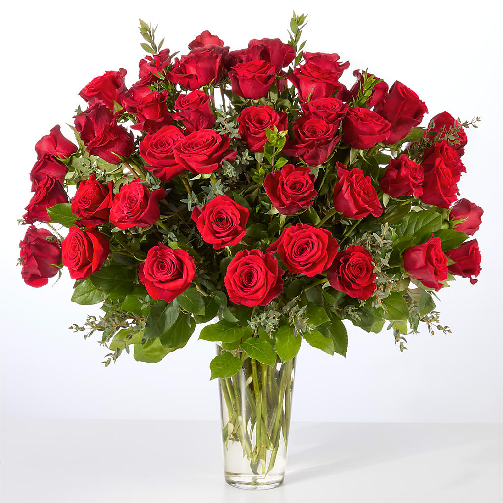 Forever Yours Fifty Stem Red Rose Bouquet – XOXO FLORALS & WINE, Newark OH