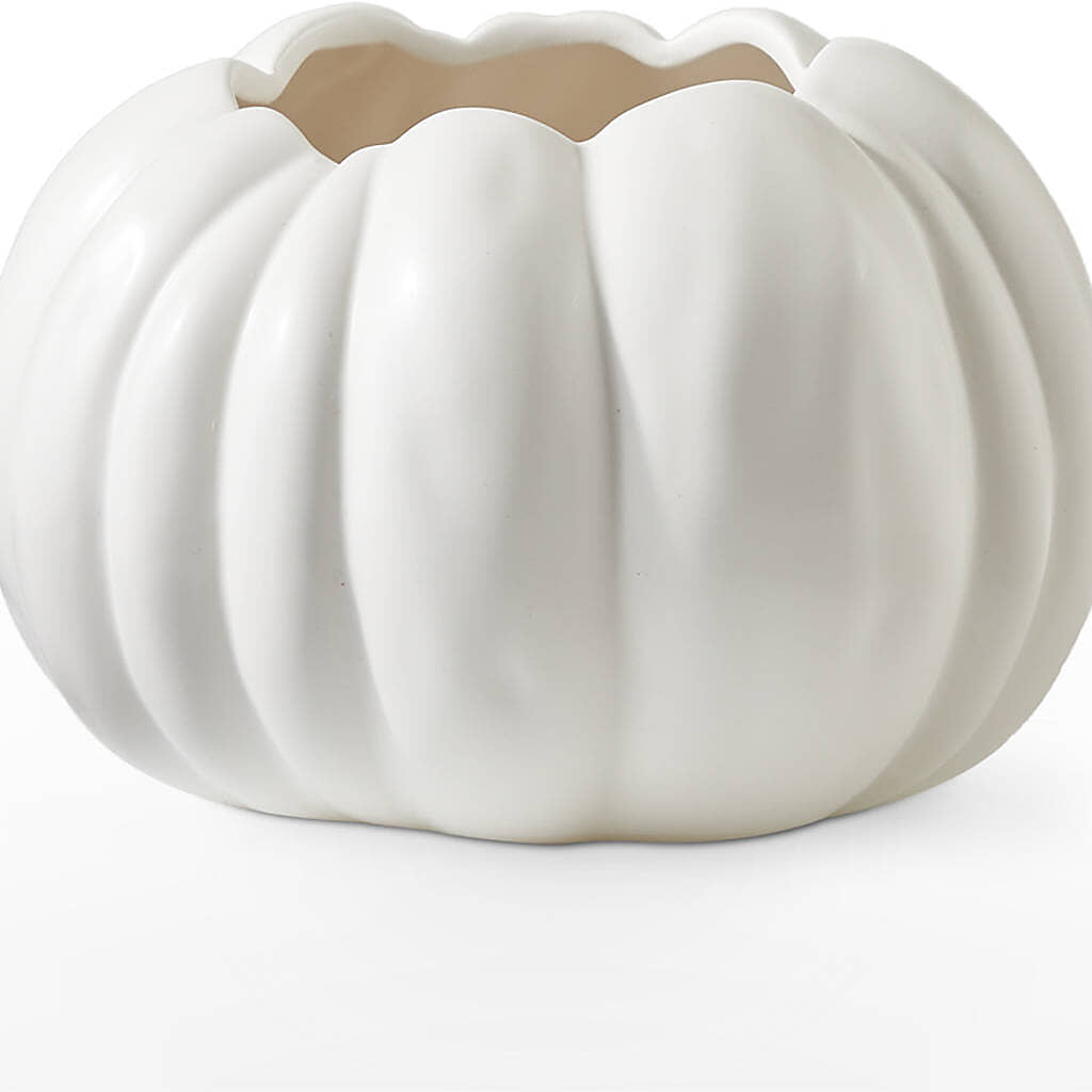 Pumpkin to Talk About Bouquet – XOXO FLORALS & WINE, Newark OH