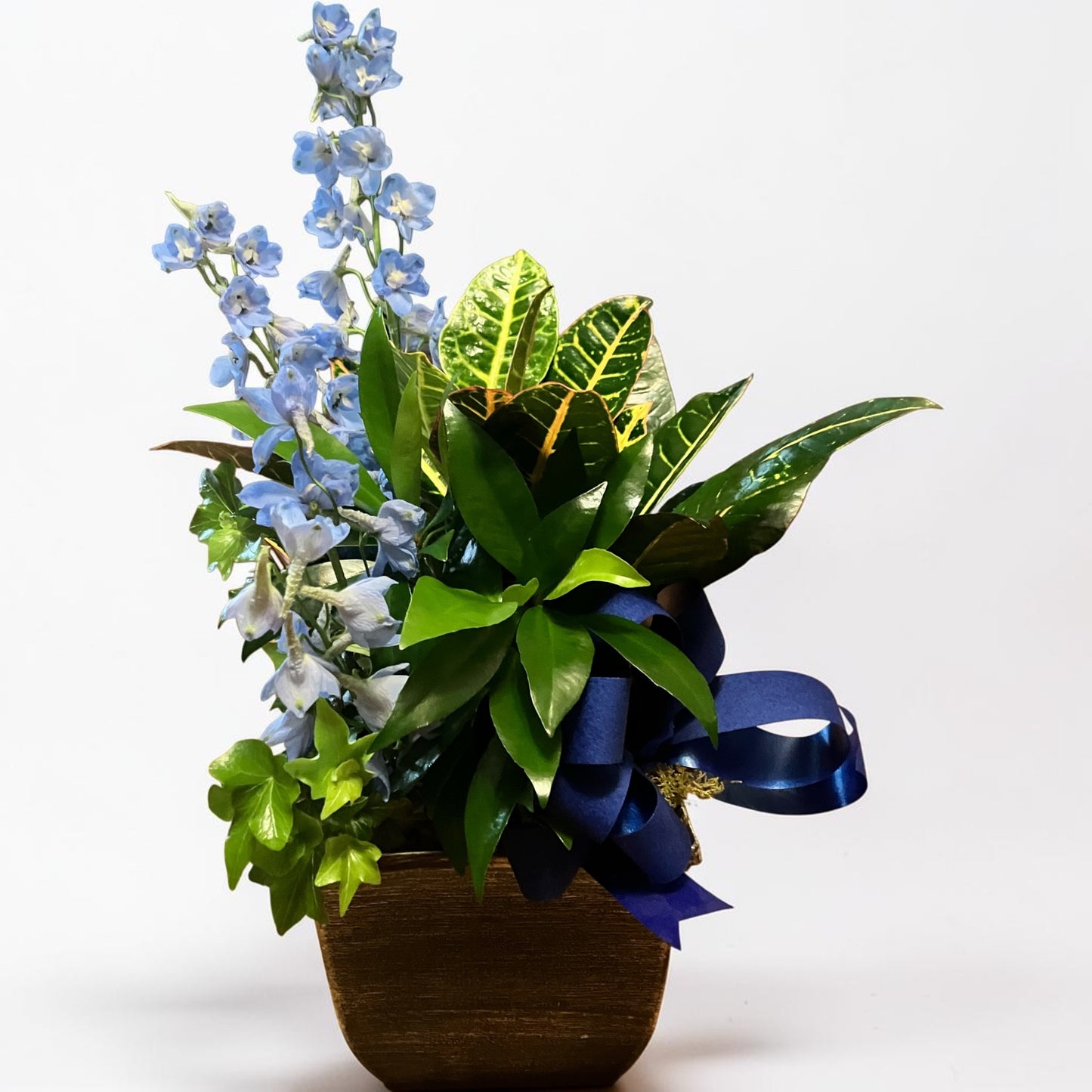 Shoreline Planter  – XOXO FLORALS & WINE, Newark OH